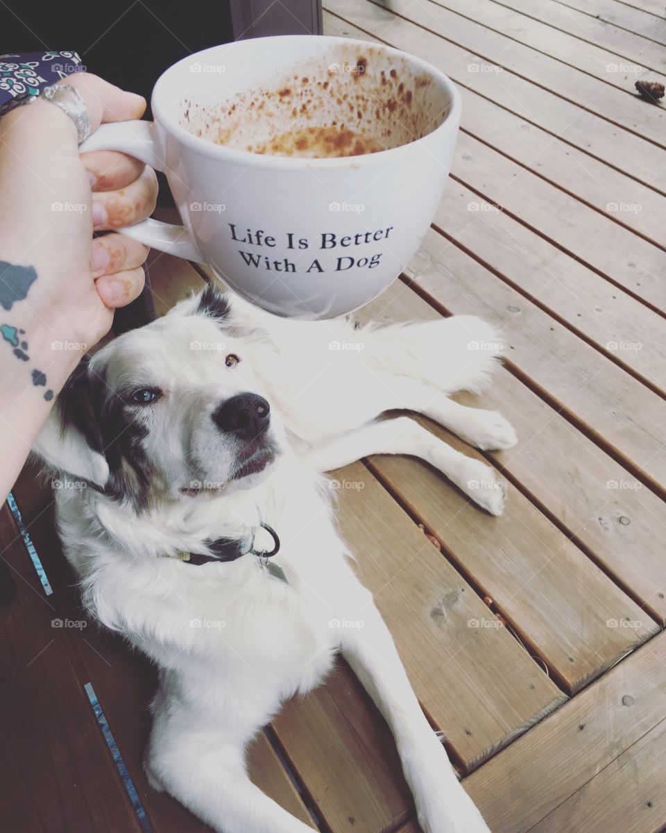 Life is better with a dog