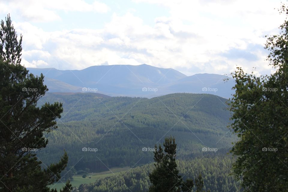 Landscape, Tree, Mountain, Nature, No Person