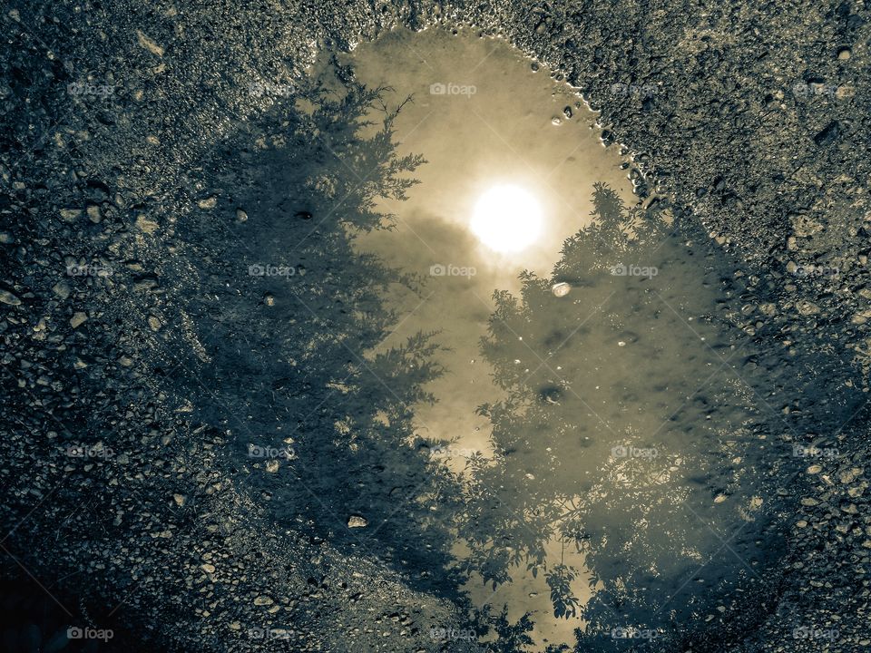 Reflection of the moon and trees in a puddle in the road