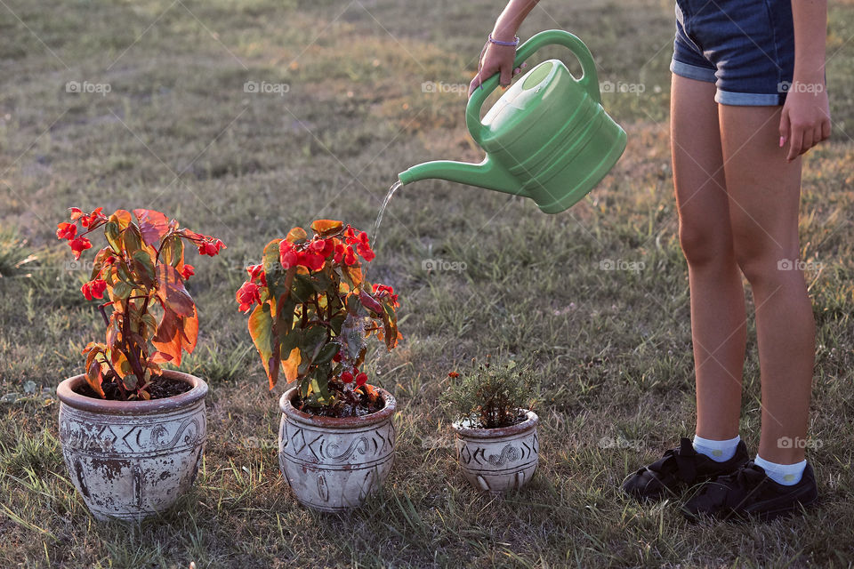 Watering the flowers growing in flower pot, pouring water from green watering can, working in backyard at sunset. Candid people, real moments, authentic situations