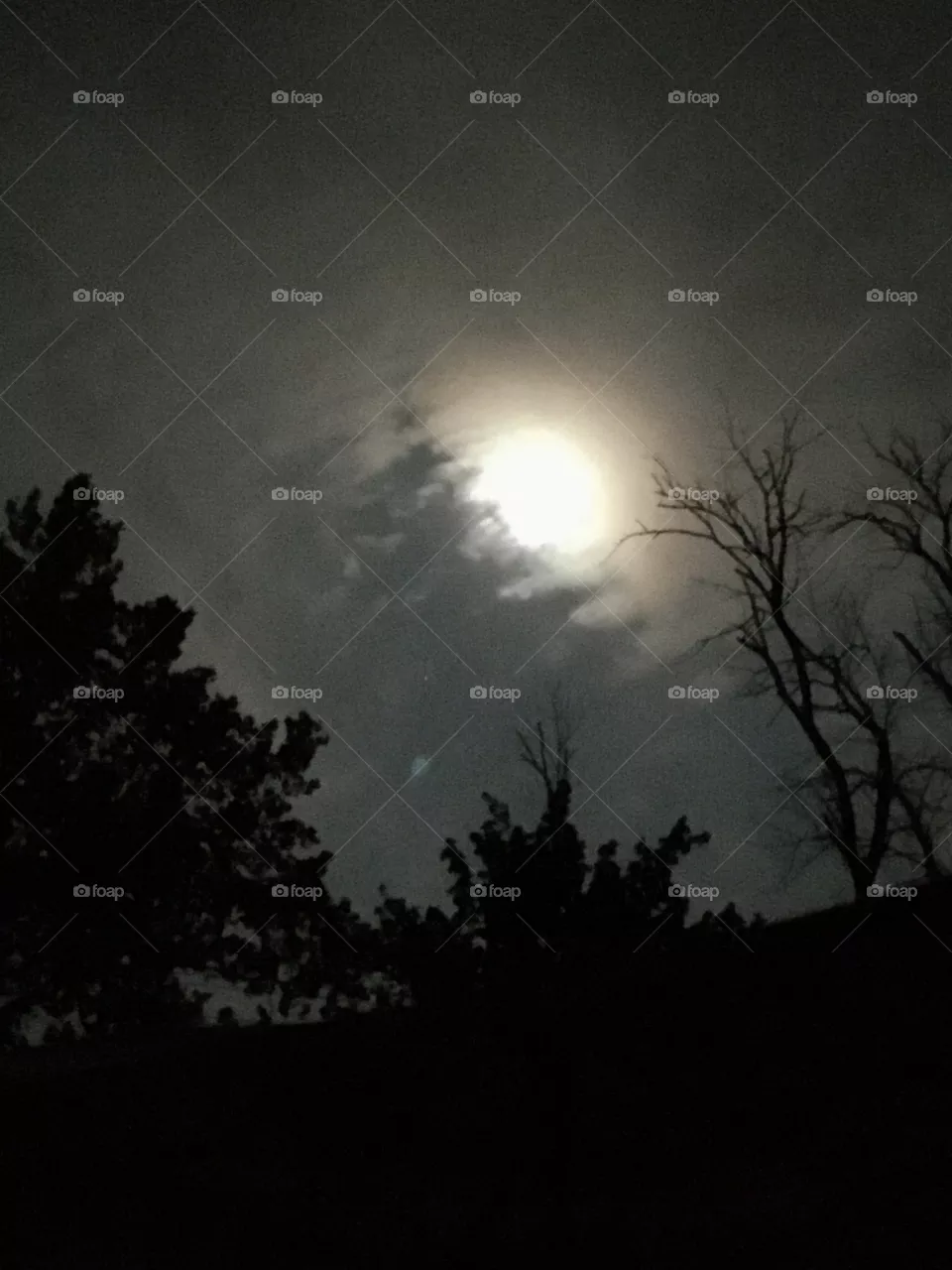 Moon
