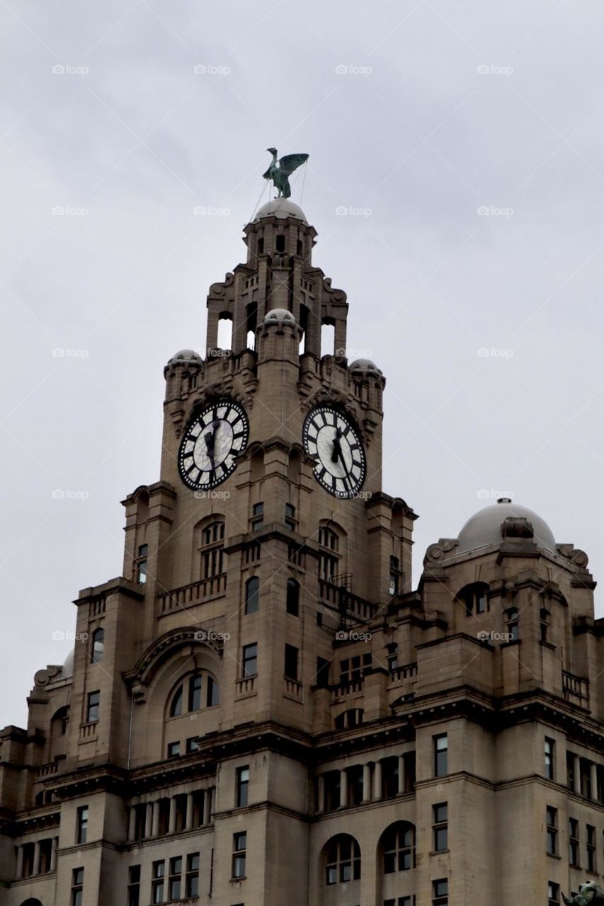 Royal Liver Building Liverpool uk