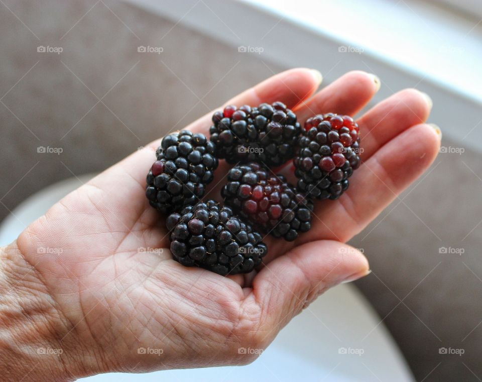 Blackberry yum yum, juicy, berries