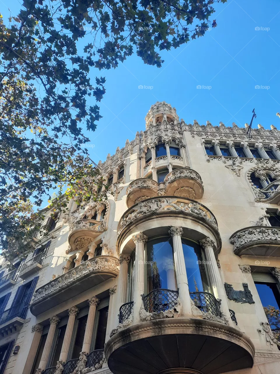 buildings