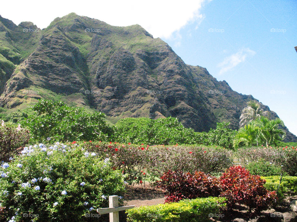 garden mountains hawaii by mogirl