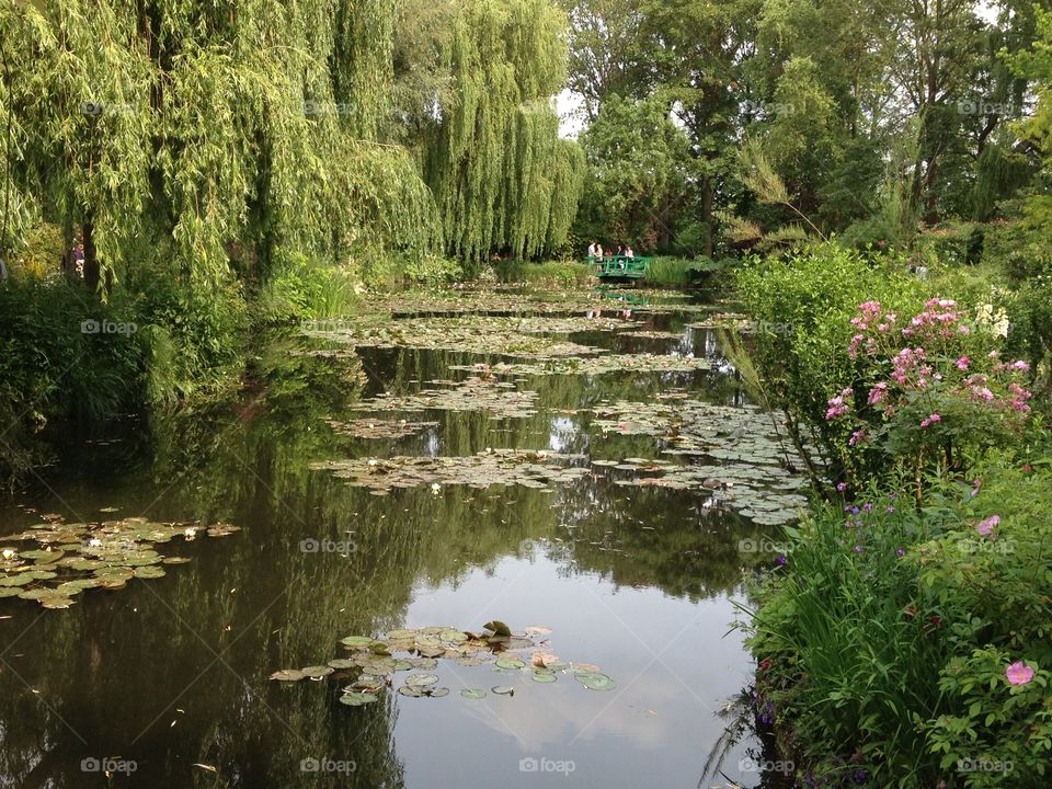 Monet's Garden 