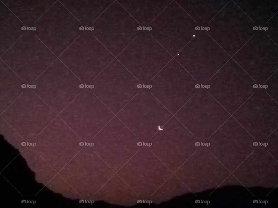 ravarma  Moon stars, Pink and violet, Star's,