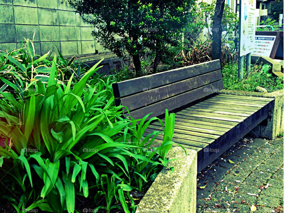 Green bench