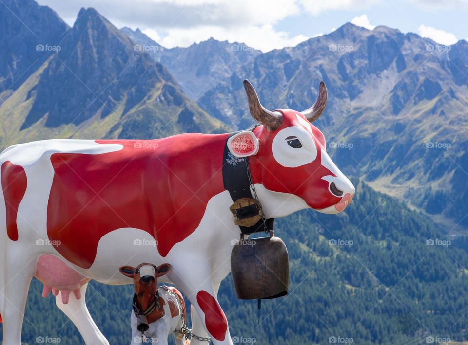 red cow in the alps
