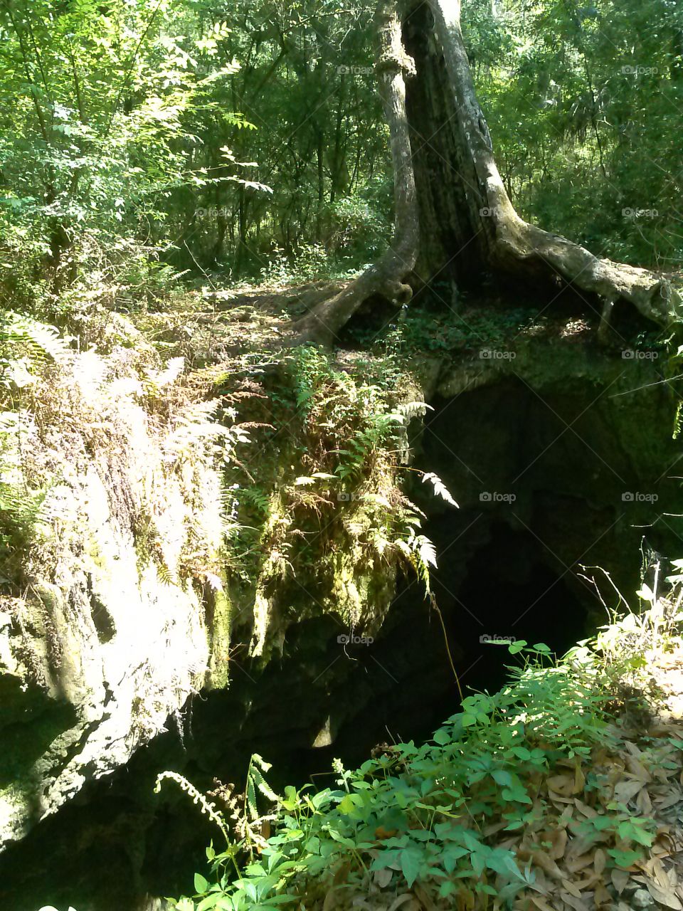 under and over. natural cave system