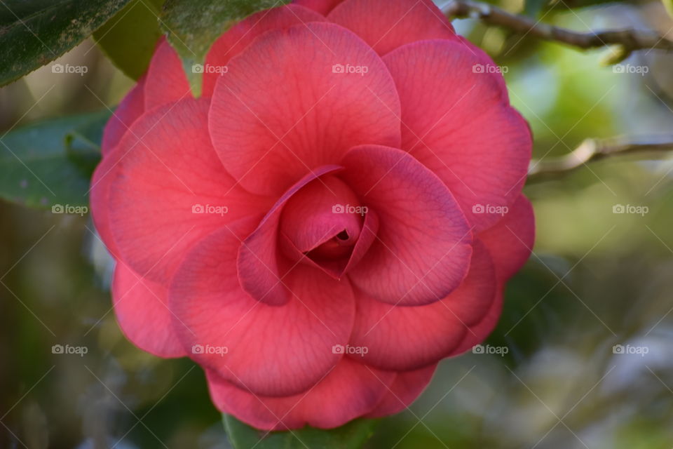 Absolutely Breathtaking 