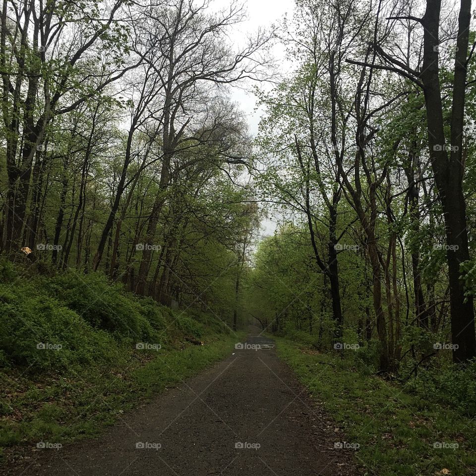 Running with the mind of meditation. 

The path of enlightenment is what is underneath our feet."

—Douglas Penick, "What Are You Meditating For?"