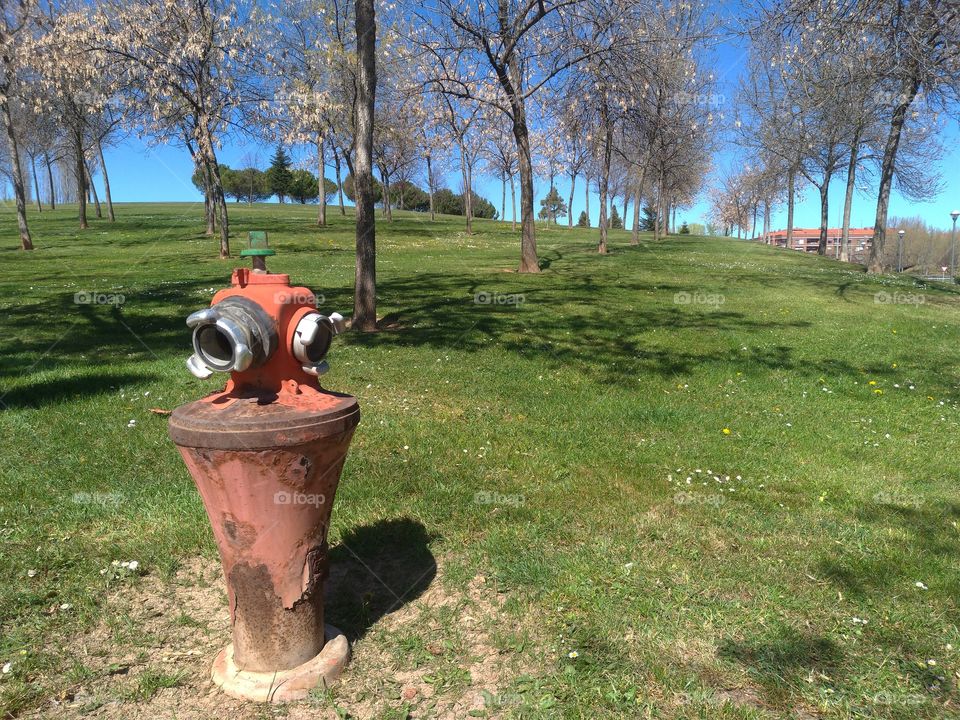 Boca de incendios en un parque