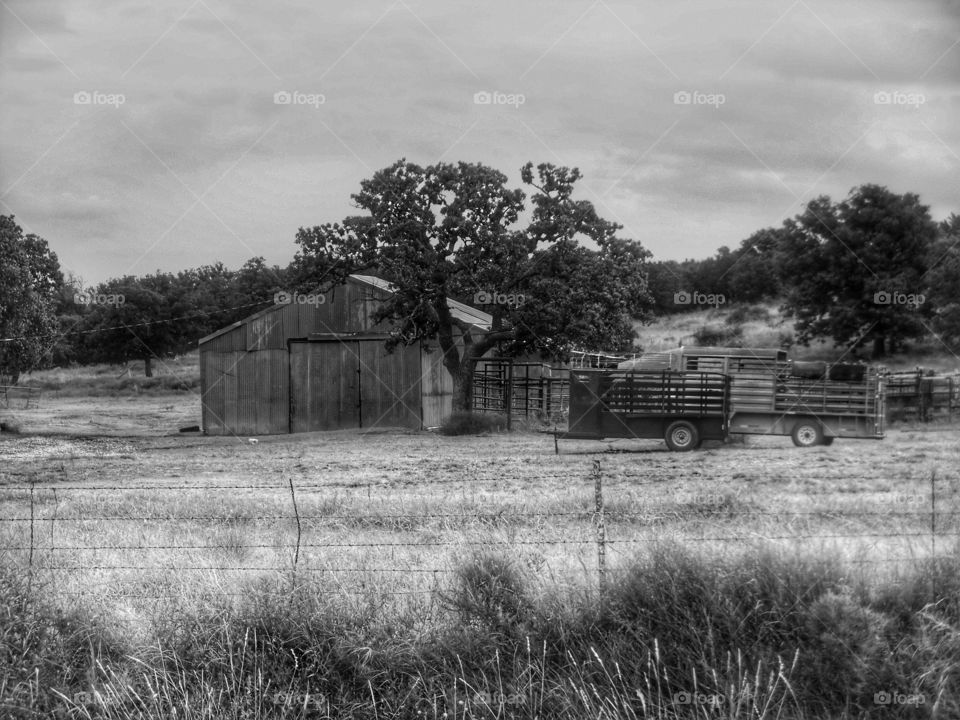 Texas country. This is a picture of a Texas barn that I saw while out riding my bike 🚲. 👣 🚶 🏃 🔥 💨
