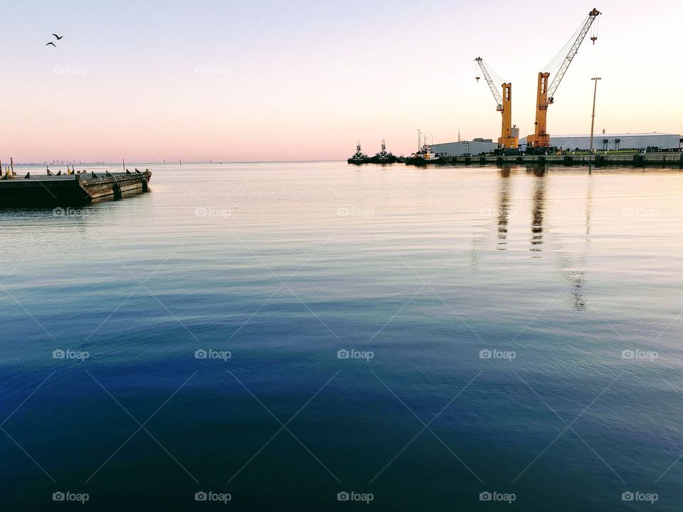 The Port of Tampa