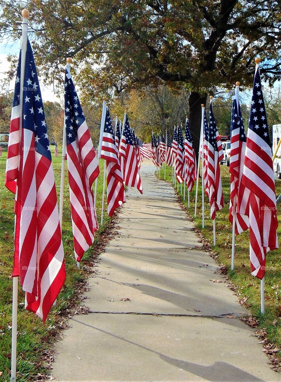 Red, White an Blue... through and through... The American flags gently ripple in the balmy breeze as they line the sidewalks of Small-town  , Kansas , USA.