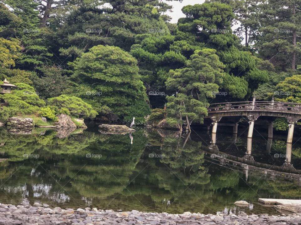 Beautiful garden of Kyoto palace with zen like features