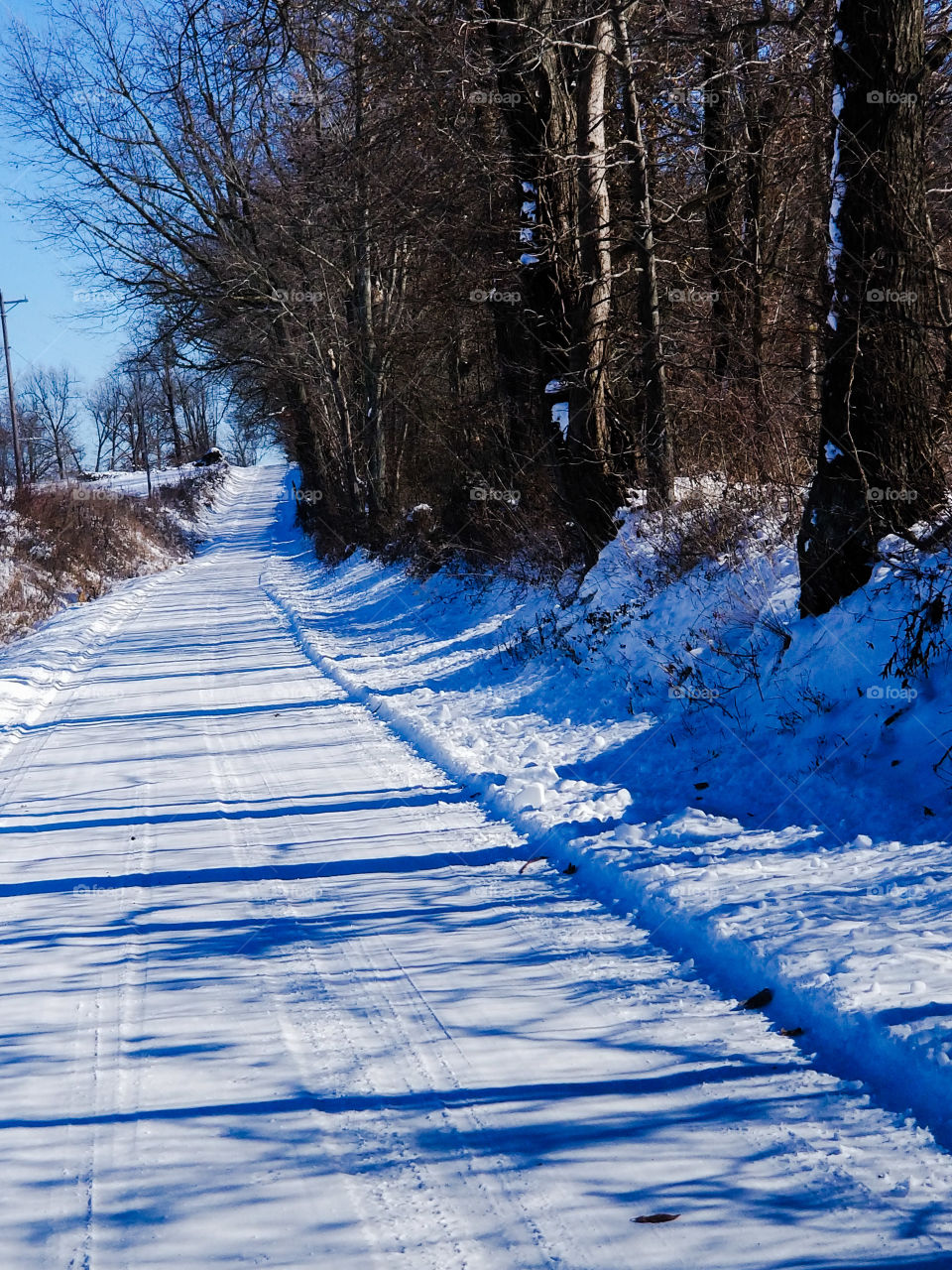 Vivid snow covered road