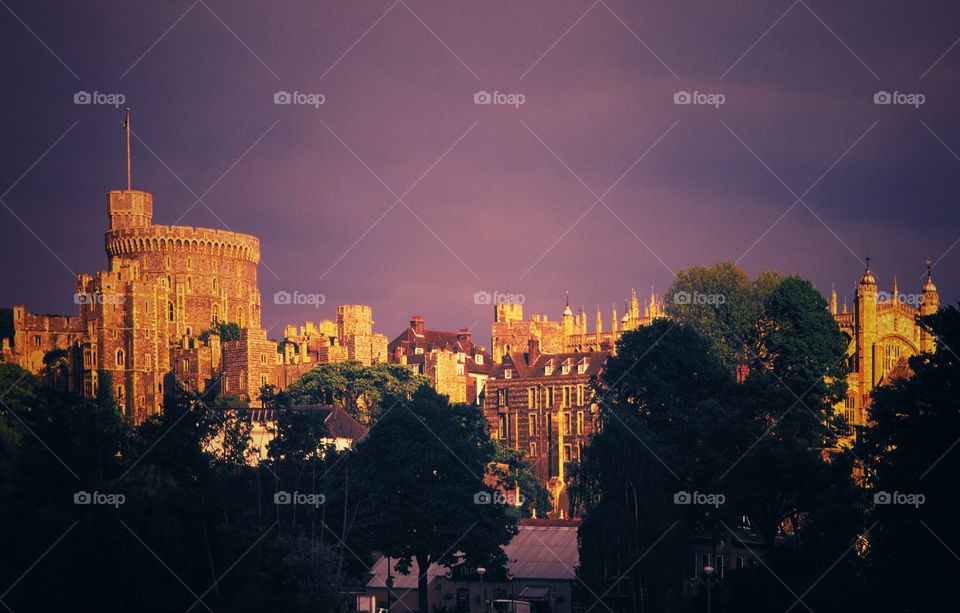 Windsor castle . Castle 