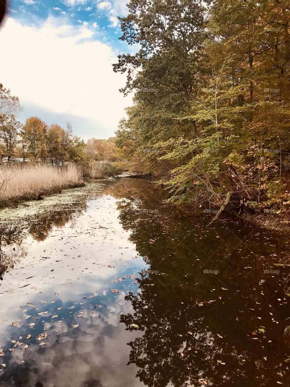 Autumn walk 