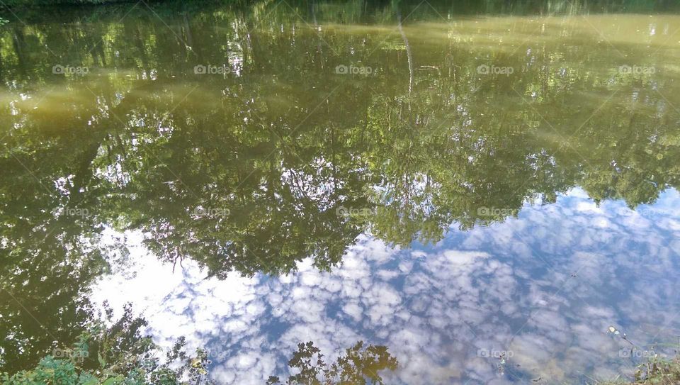 Mirrored Pond