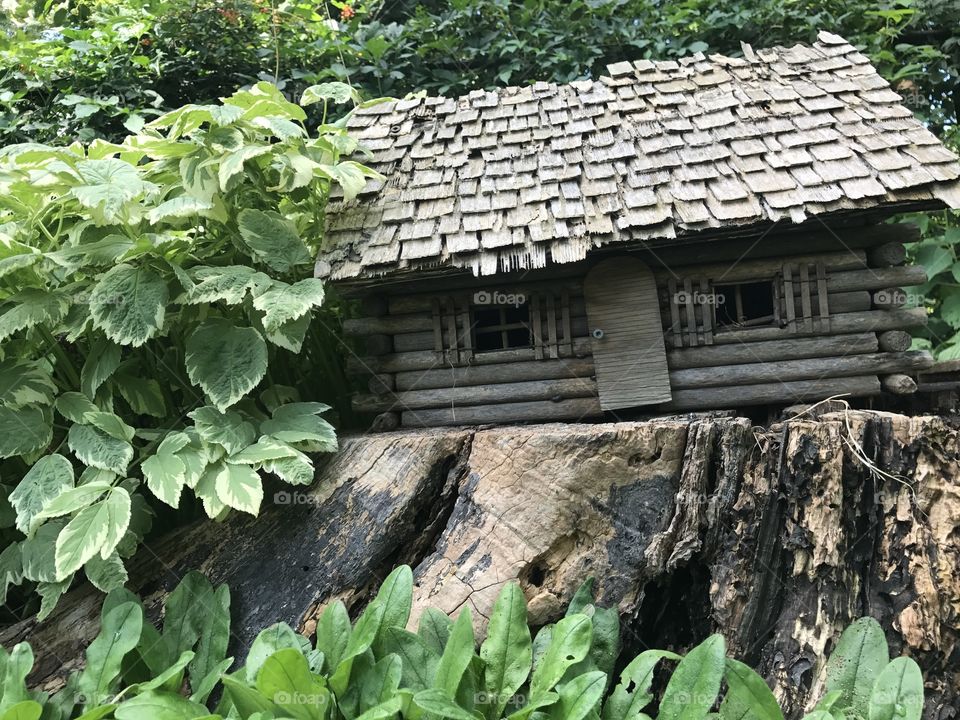 Fairy cabin