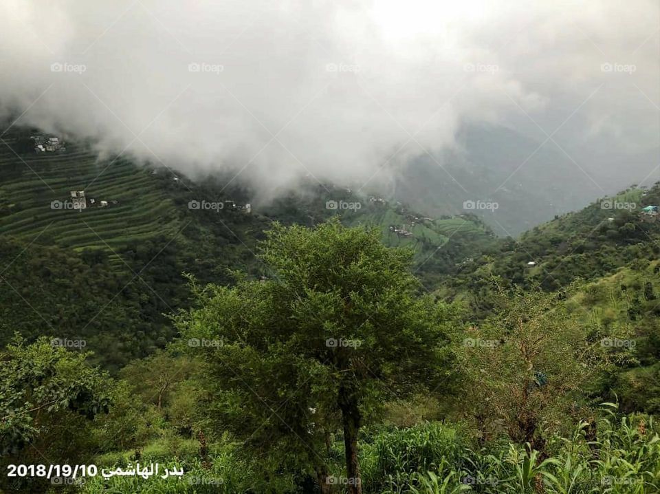 Glory be to God, the magnificent and picturesque view and the natural green trees are a view that is nothing more wonderful than it
