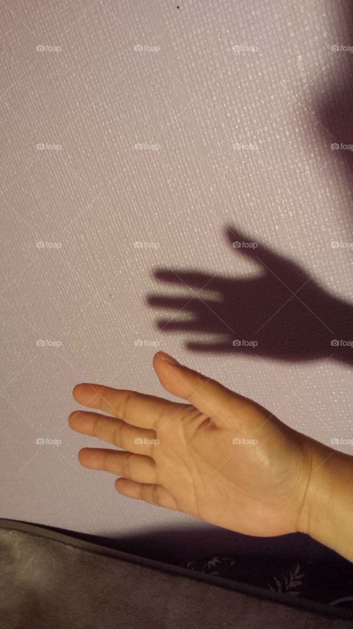 Hand and Shadow