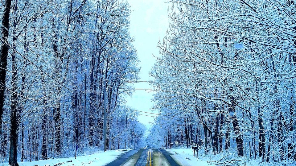 snow
storm
winter 
scenic
road