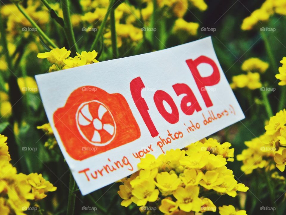 foap - advertisement