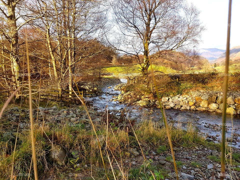 Little stream in the hills
