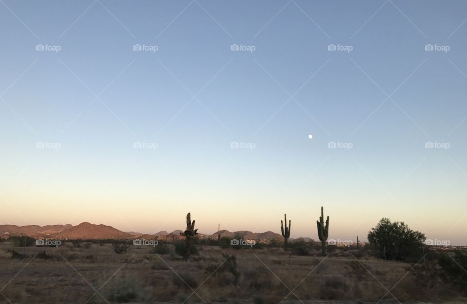 Route 66 Arizona Desert 🌵 