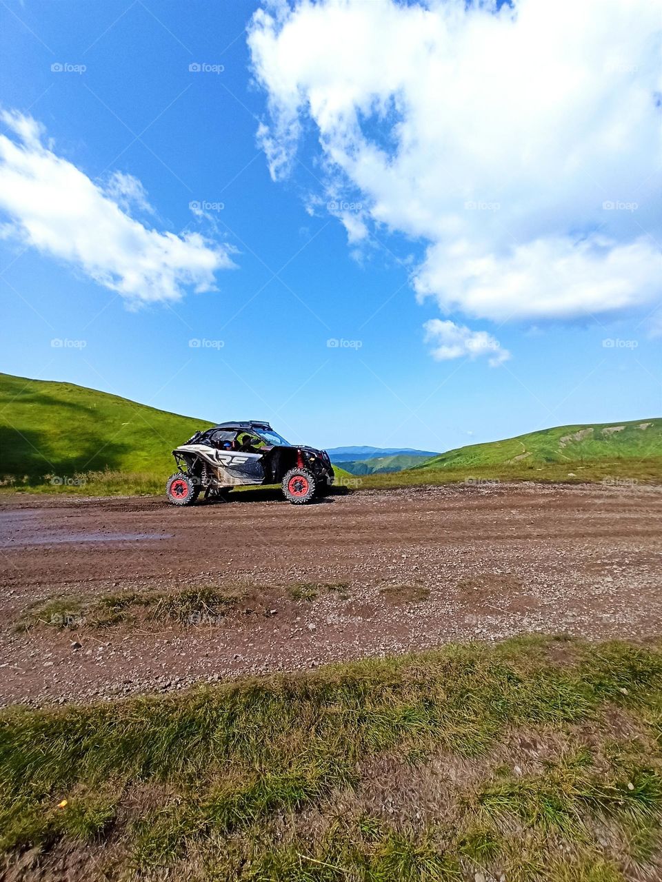 My top summer snapshots