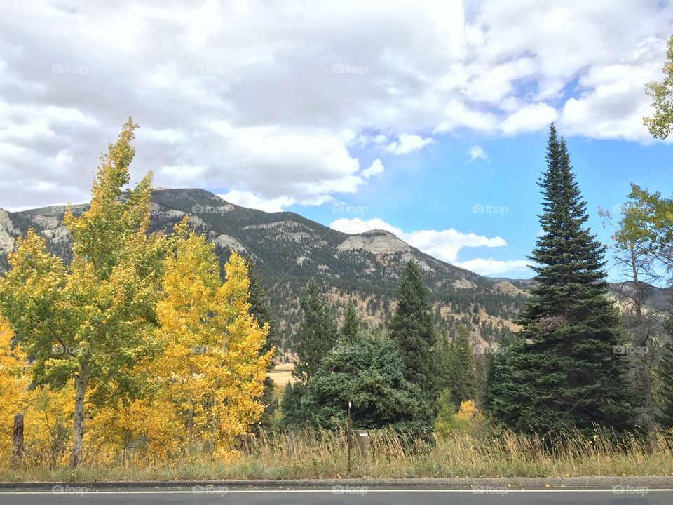 Fall on the forested mountain.