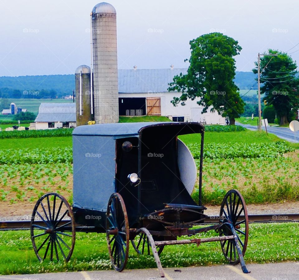 Amish Buggy 