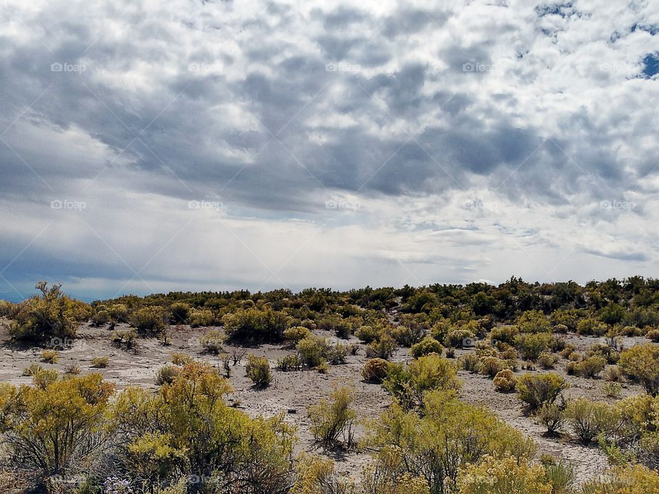 Storm rolling in on the high desert, CO