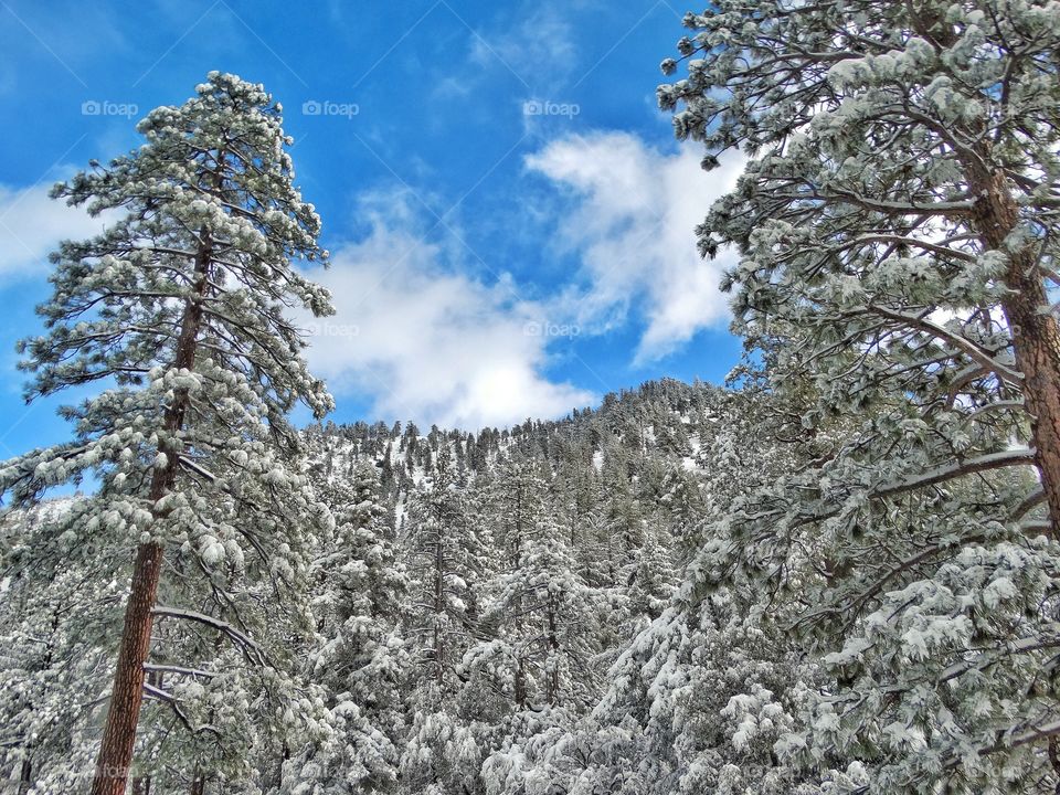 San Gabriel Mountains In Snow