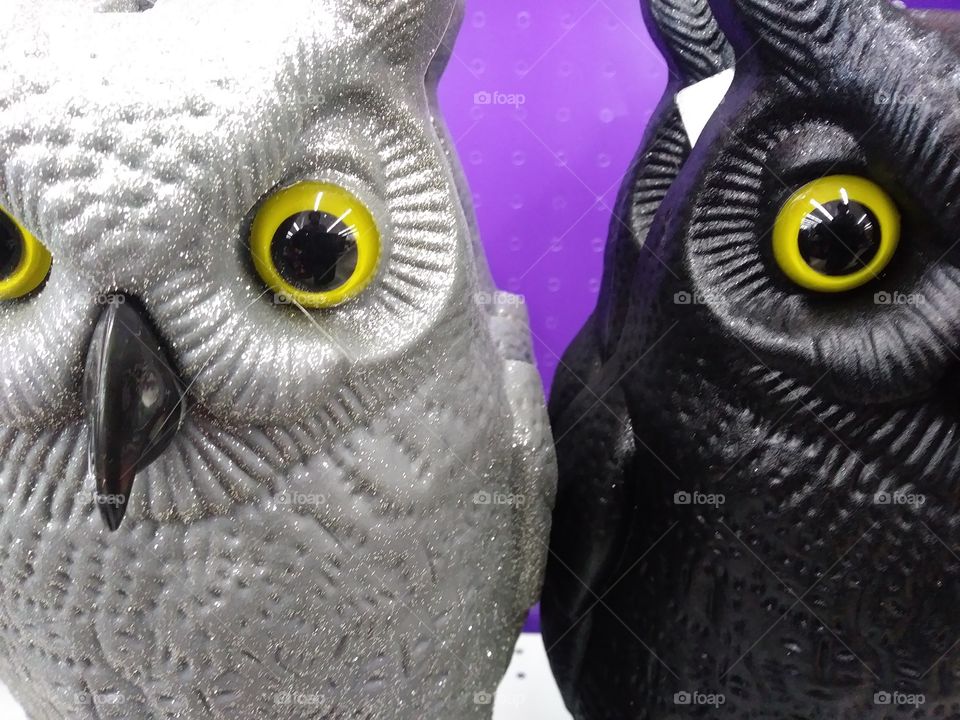 Two owl decorations.
