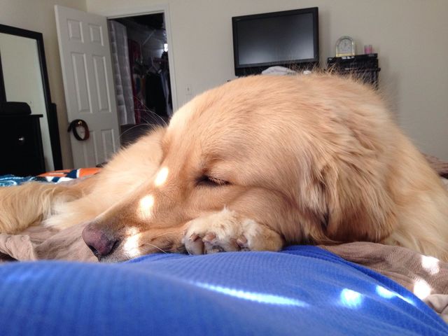 Sleeping