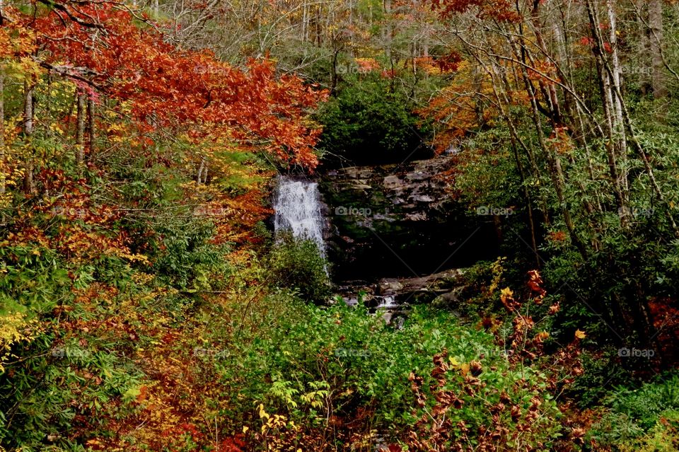 Waterfall in the smokie mountains 