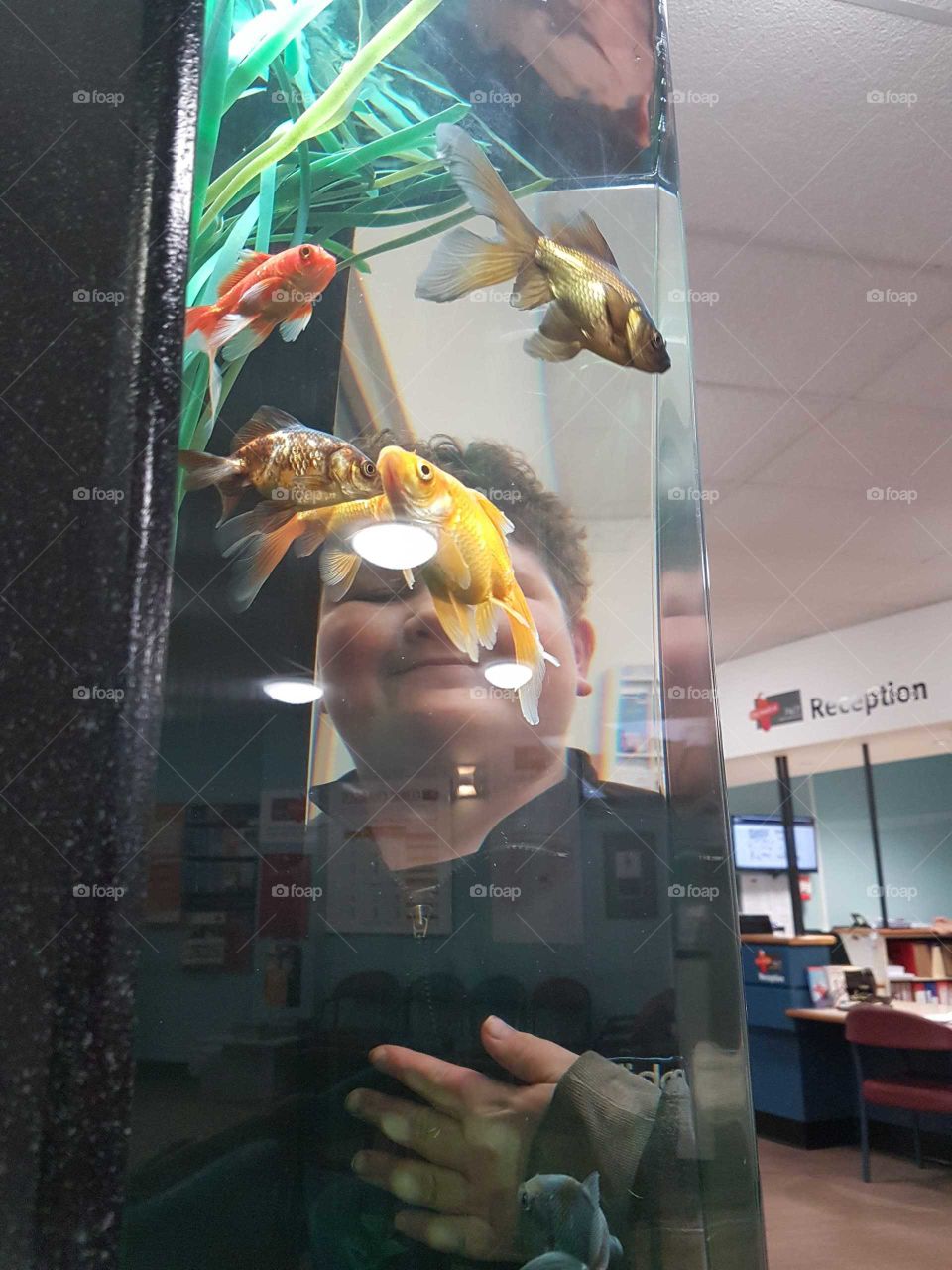 Capturing a shot through a fish tank of my son. It's a unique scene with the fish gracefully swimming around.
