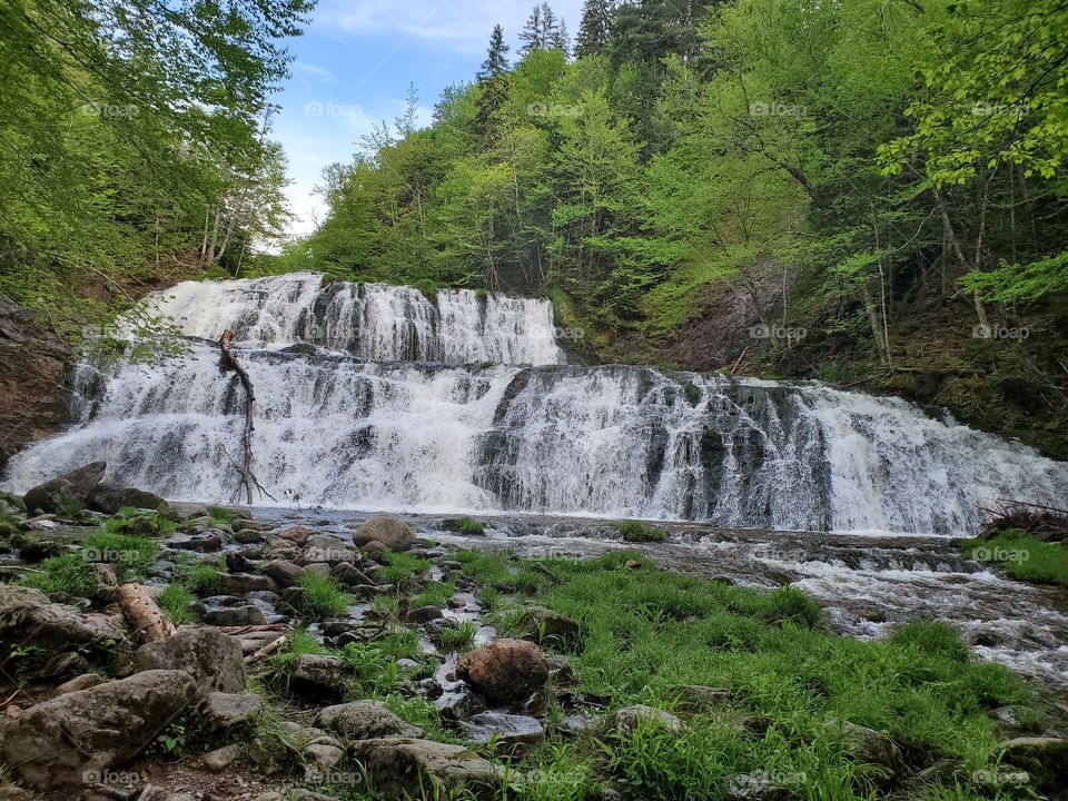 Egypt falls