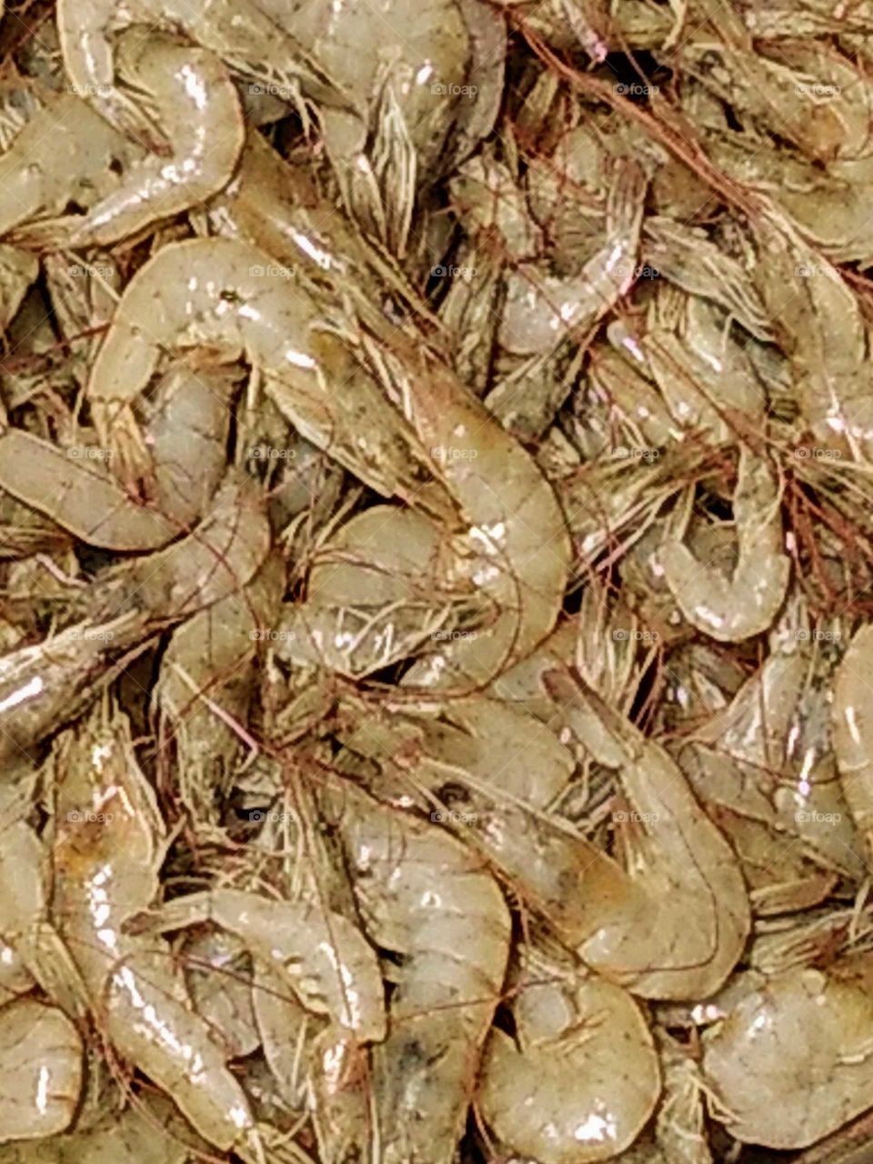 buying prawns in the morning