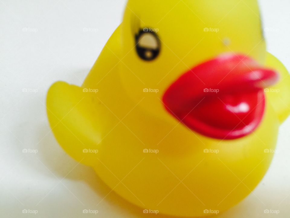 My duck