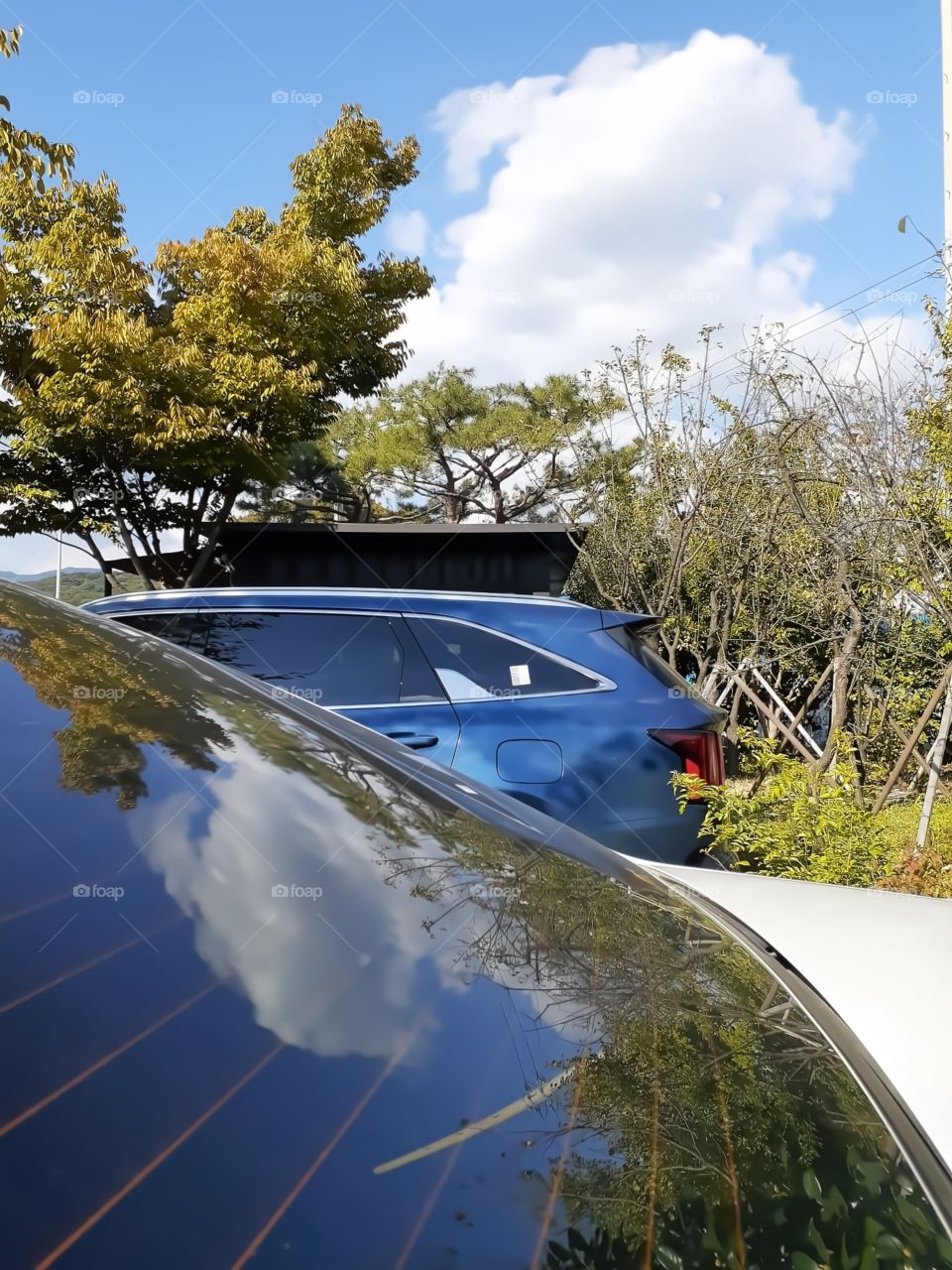clouds and trees on the cars glass window.