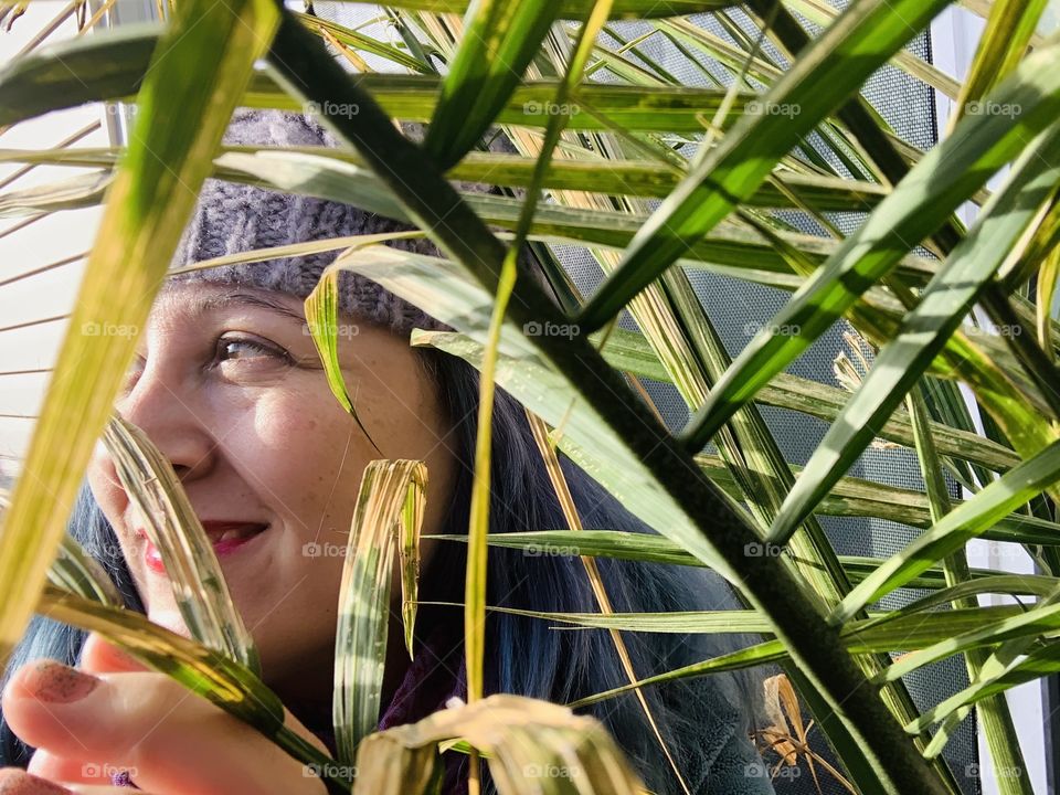 The palm tree keeps me in check, and the knit cap keeps me warm. Green and grey, in November.