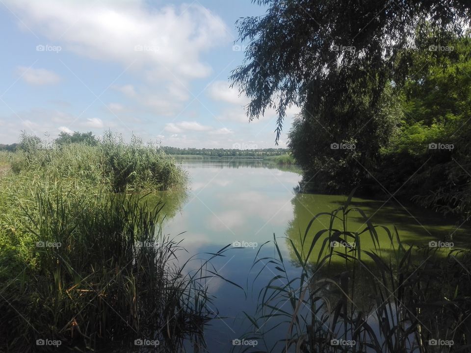 Water, Landscape, Tree, Lake, Nature