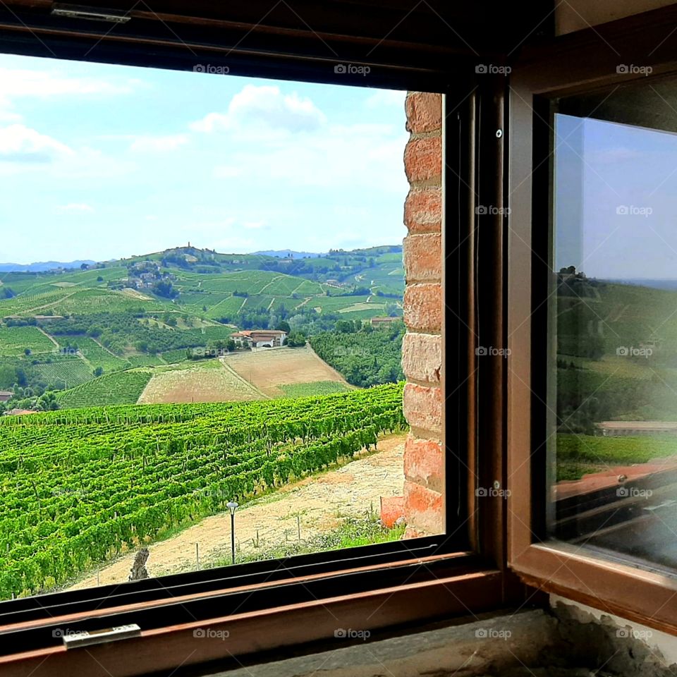 View from the window.  Vineyard landscape