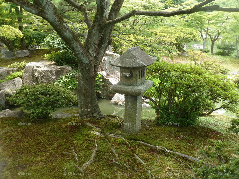 japanese lantern in garden