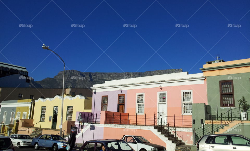 The Bo-Kaap houses in Cape Town with their soft coloured walls.